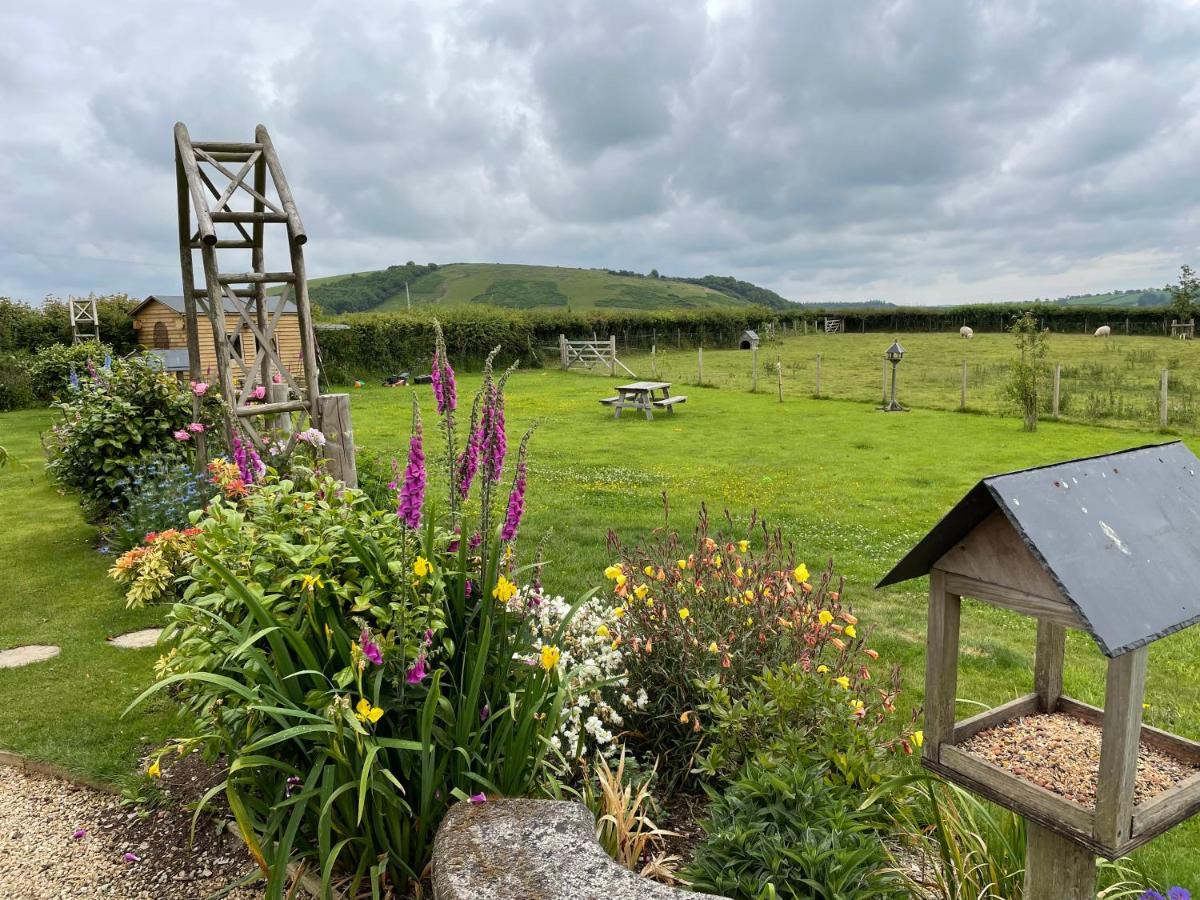 Westerley Country B & B With Exclusive Guest Lounge 벅패스트리 외부 사진